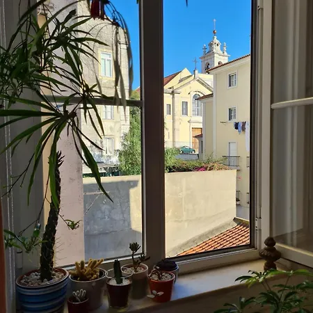 Sunny With A River View